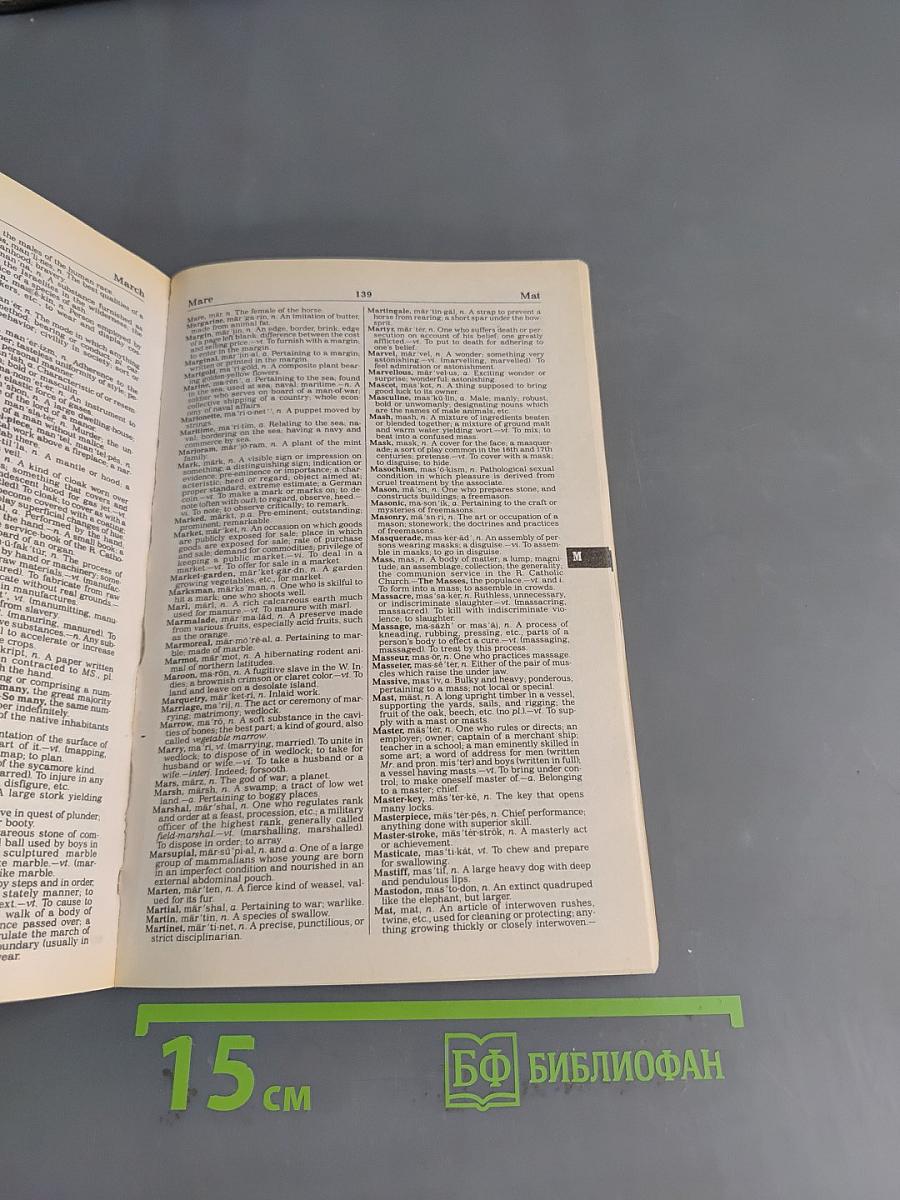 New Webster's Dictionary