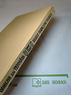 Полные похождения Рокамболя. Том XII: Детская воспитательница. Потерянное дитя