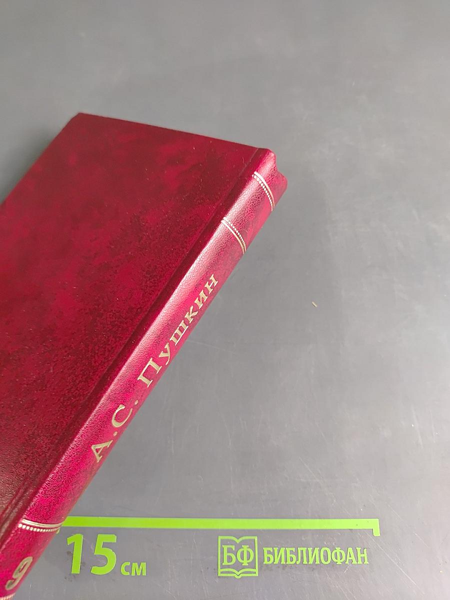 Собрание сочинений. Том девятый. Письма 1815-1830 годов
