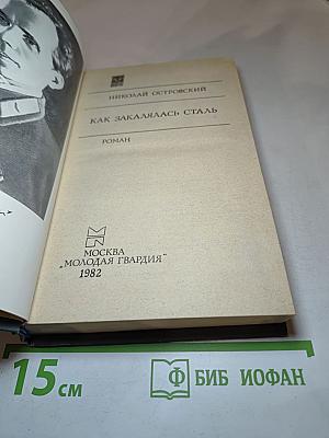 Как закалялась сталь