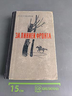 За линией фронта. Партизанские записки