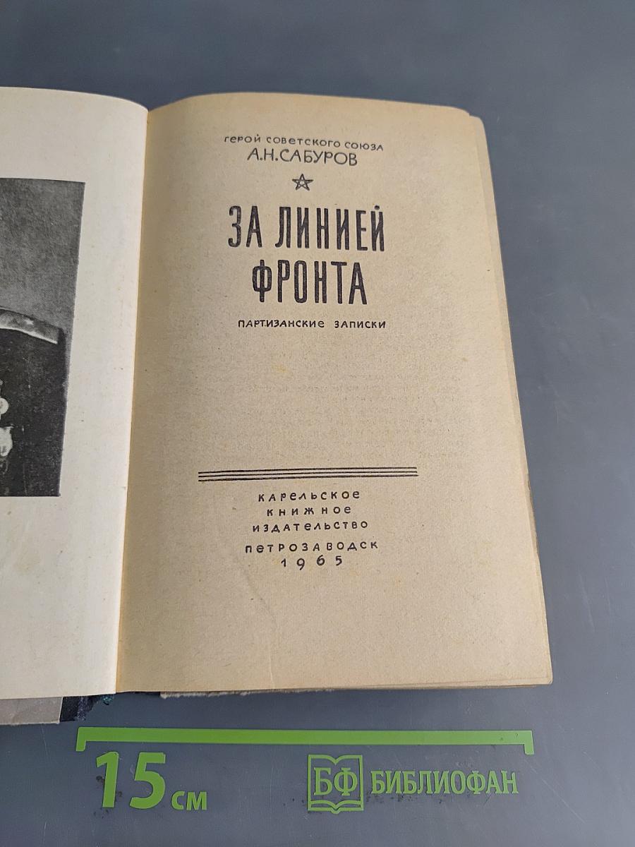 За линией фронта. Партизанские записки