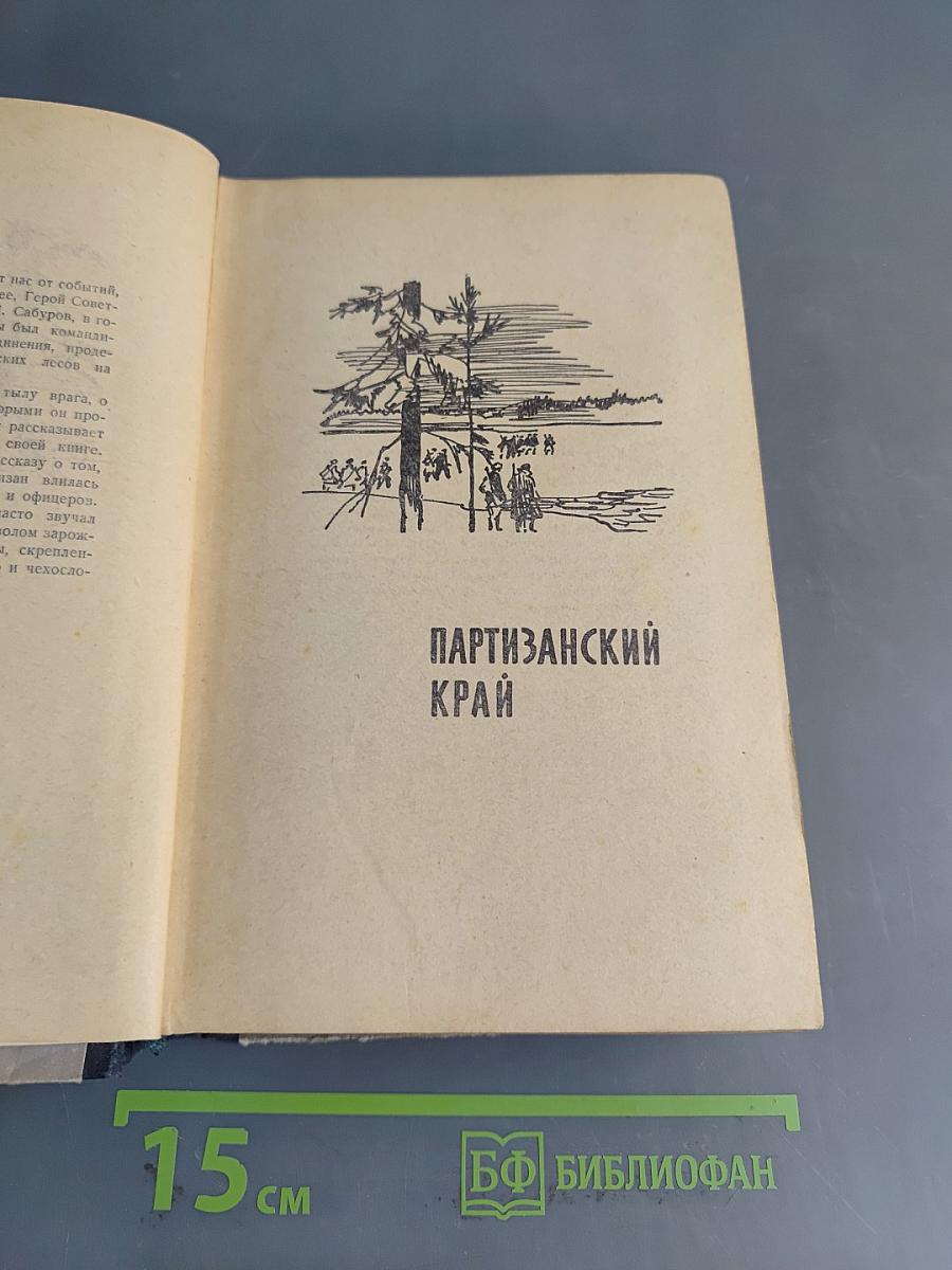 За линией фронта. Партизанские записки