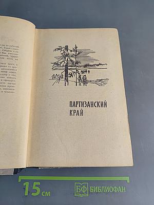 За линией фронта. Партизанские записки