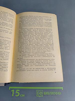 За линией фронта. Партизанские записки