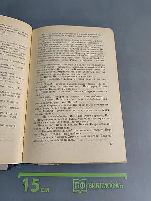 За линией фронта. Партизанские записки