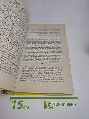 Рыжий рыцарь