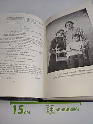 М. Горький. Письма, телеграммы, надписи. Том 28. 1889-1906