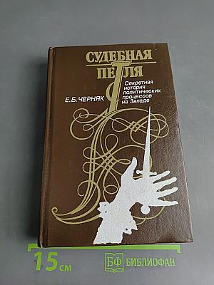 Судебная петля