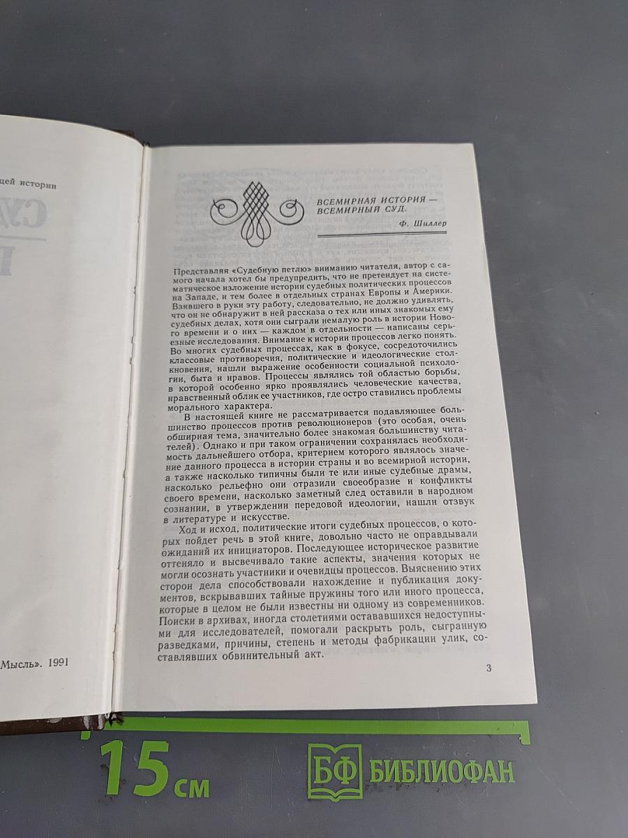 Судебная петля