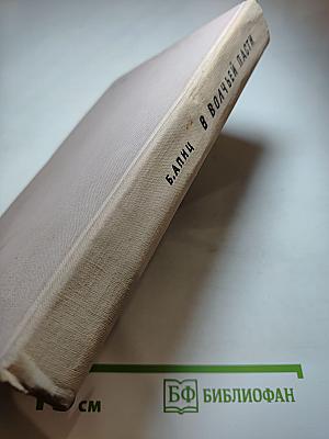 В волчьей пасти