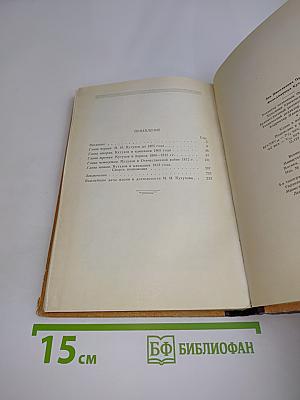 Фельдмаршал Кутузов