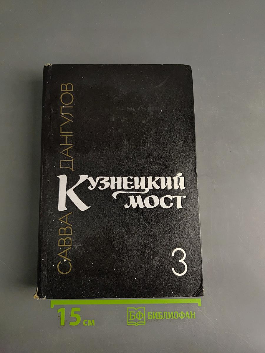 Кузнецкий мост. Книга третья