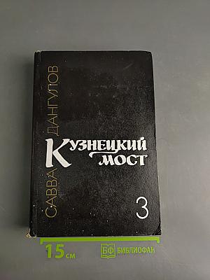 Кузнецкий мост. Книга третья