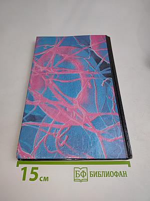 Рэндэм Уорти. Рагнаради
