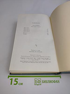 Анна Каренина. Роман в восьми частях. Том девятый