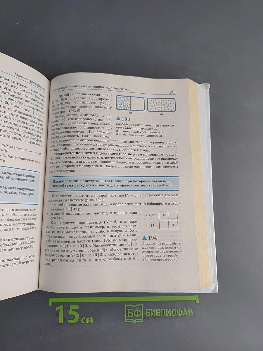 Физика 10 класс