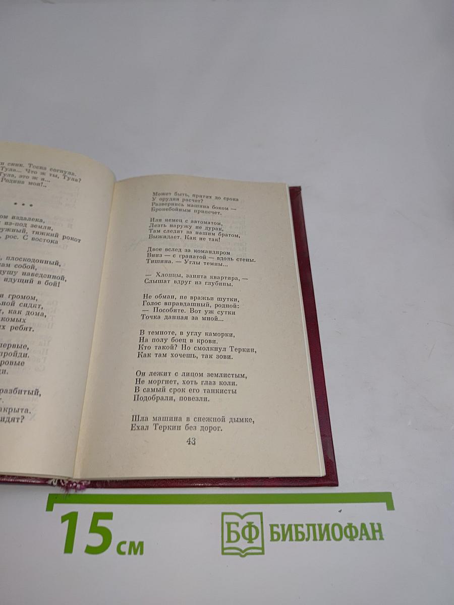 Василий Тёркин. Книга про бойца