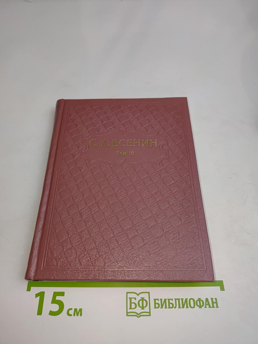 Собрание сочинений. Том III. Поэмы