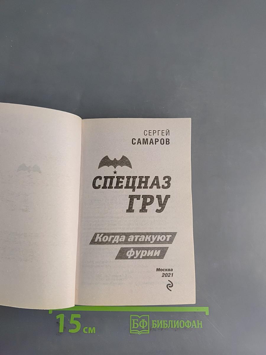 Спецназ ГРУ. Когда атакуют фурии