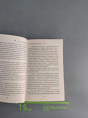 Спецназ ГРУ. Когда атакуют фурии