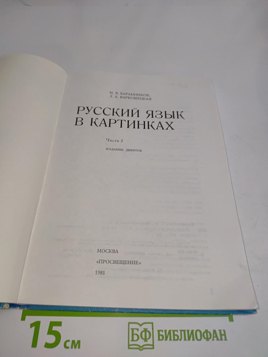 Русский язык в картинках. Часть 2