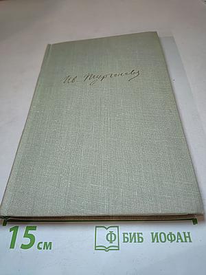 Собрание сочинений. Том второй: Рудин, Дворянское гнездо