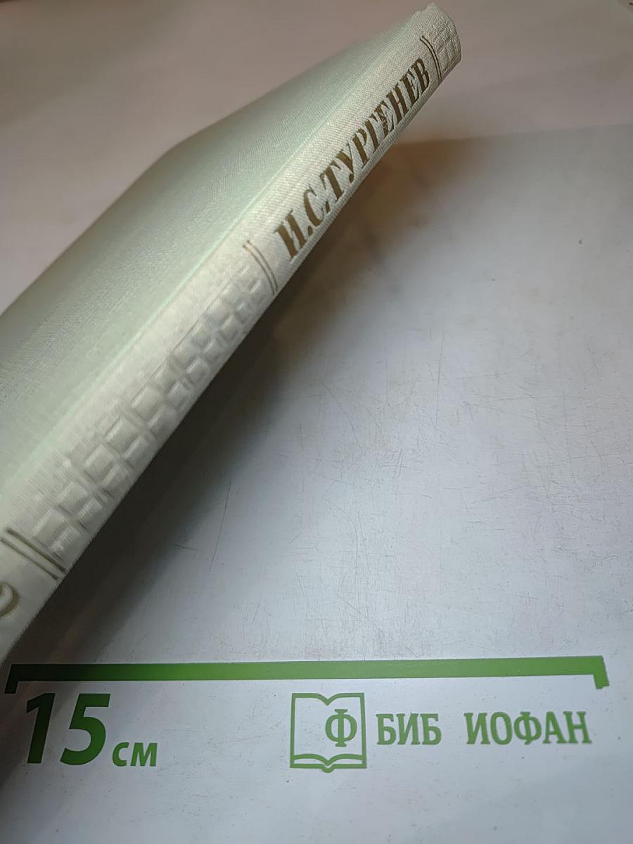 Собрание сочинений. Том второй: Рудин, Дворянское гнездо