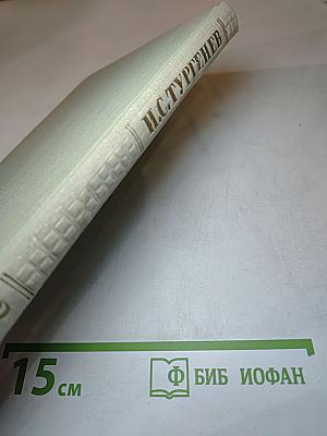 Собрание сочинений. Том второй: Рудин, Дворянское гнездо