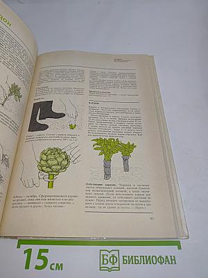 Овощные культуры