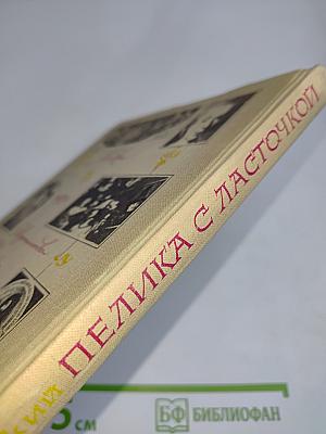 Пелика с ласточкой