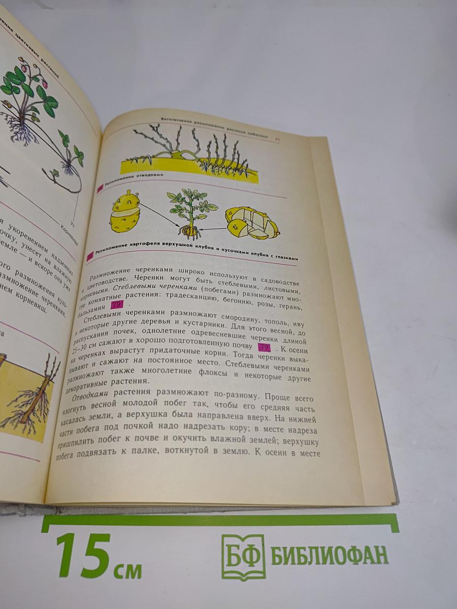 Биология. Растения, бактерии, грибы, лишайники. Учебник для 6-7 классов средней школы