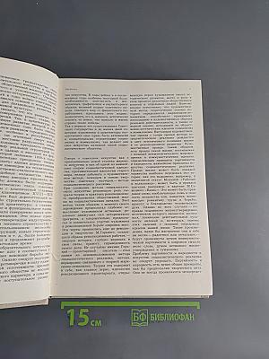 Очерки истории советского искусства