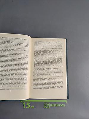 Красное и черное. Пармская обитель