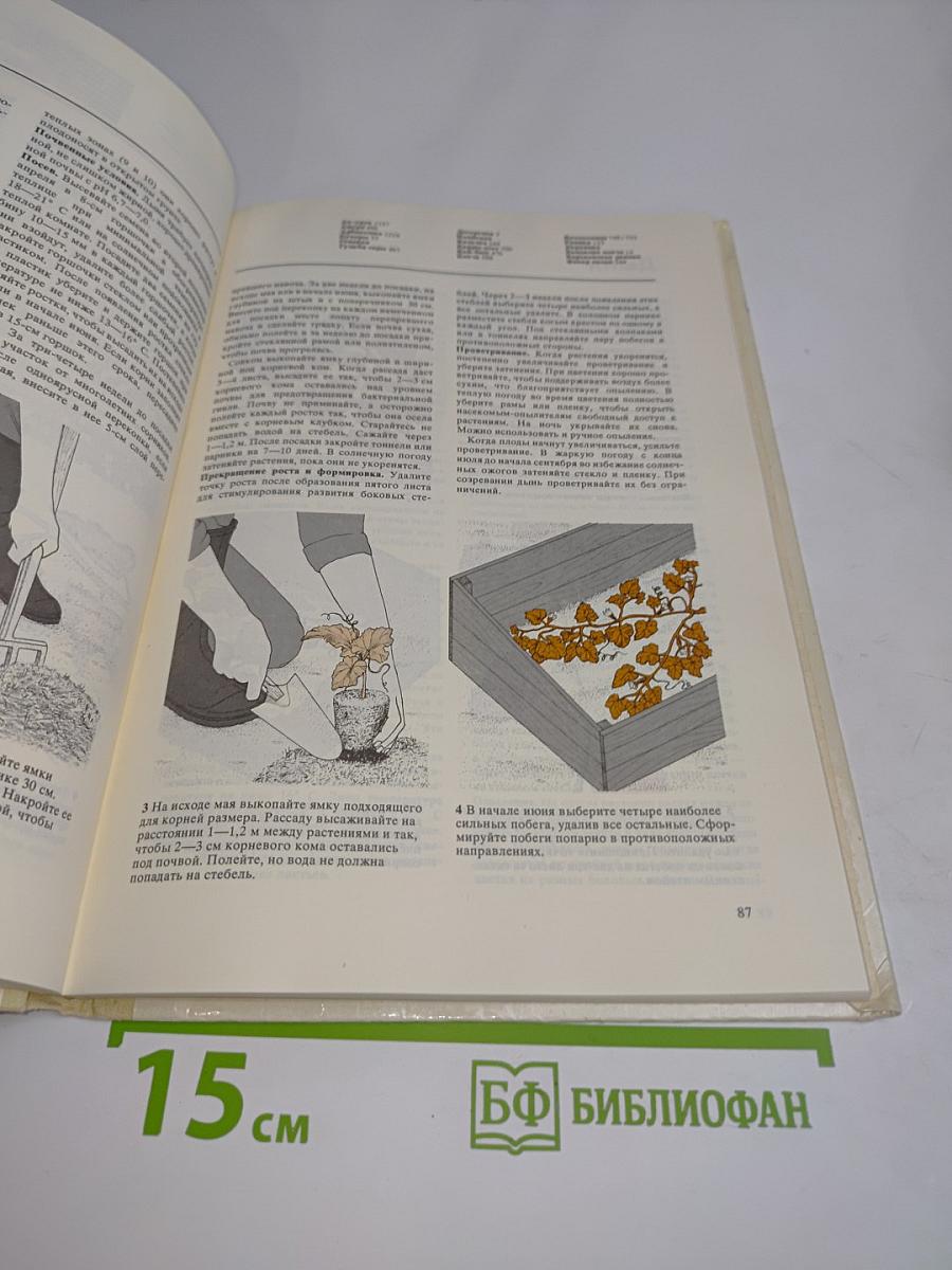 Плодовые культуры