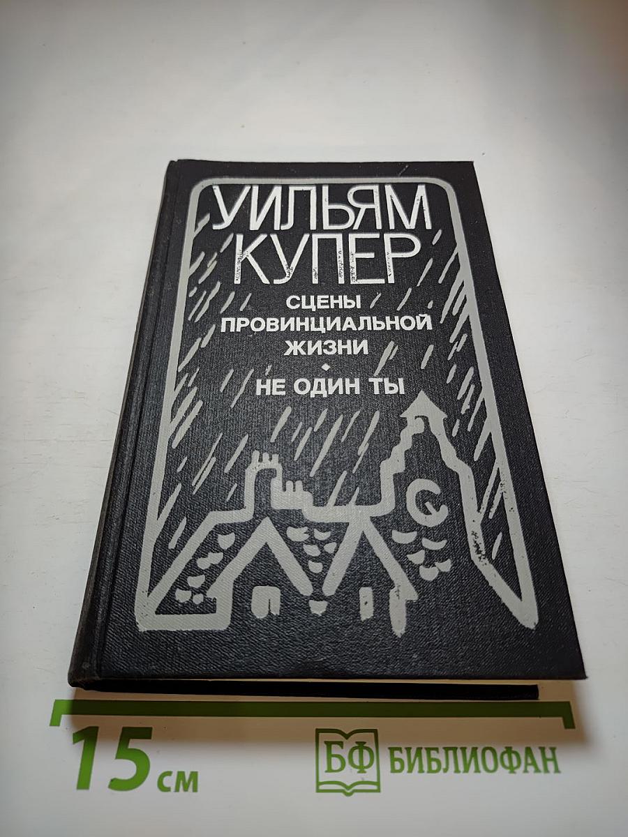 Сцены провинциальной жизни. Не один ты