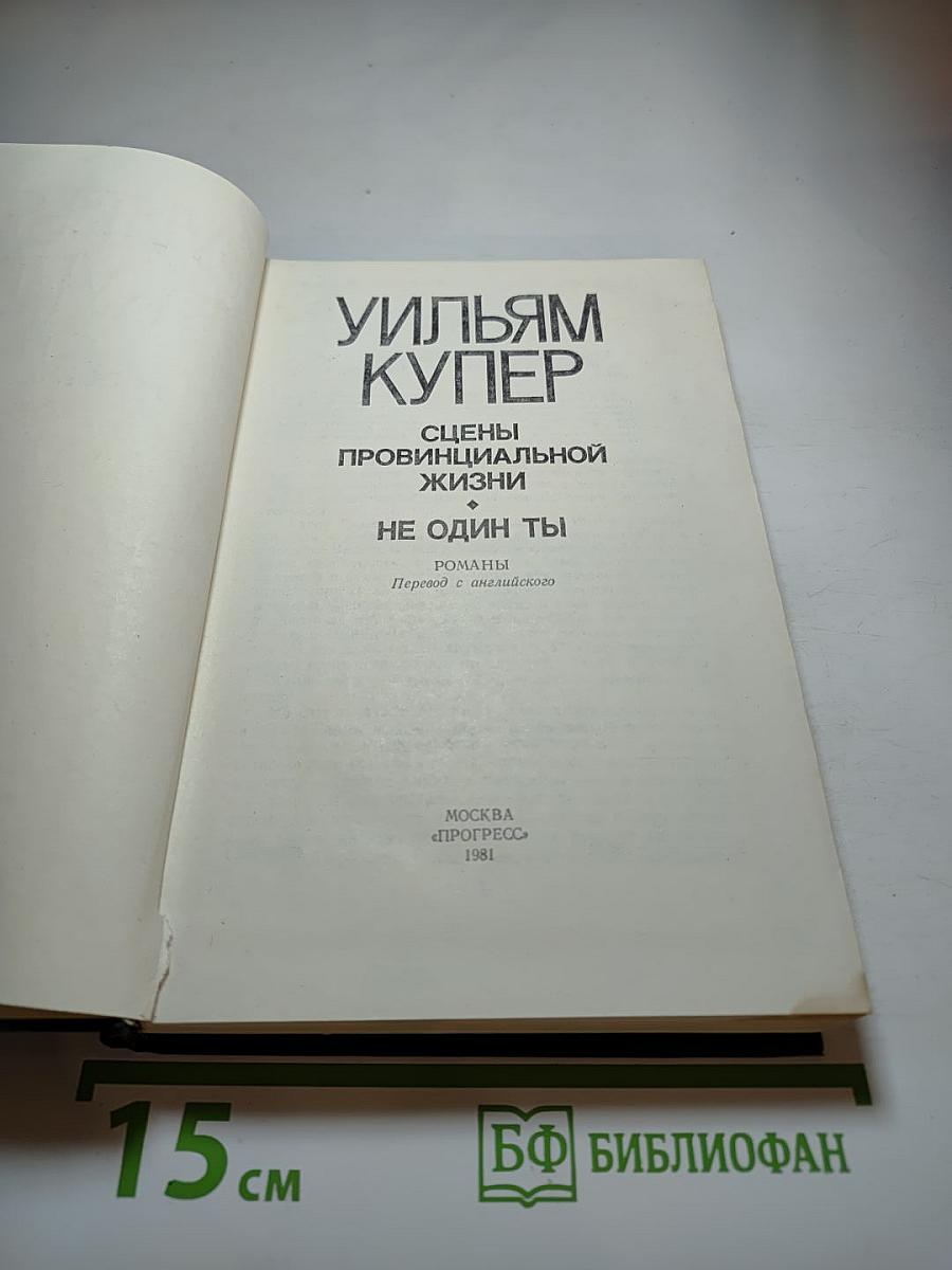 Сцены провинциальной жизни. Не один ты