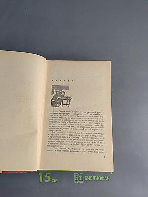 Перед дальней дорогой