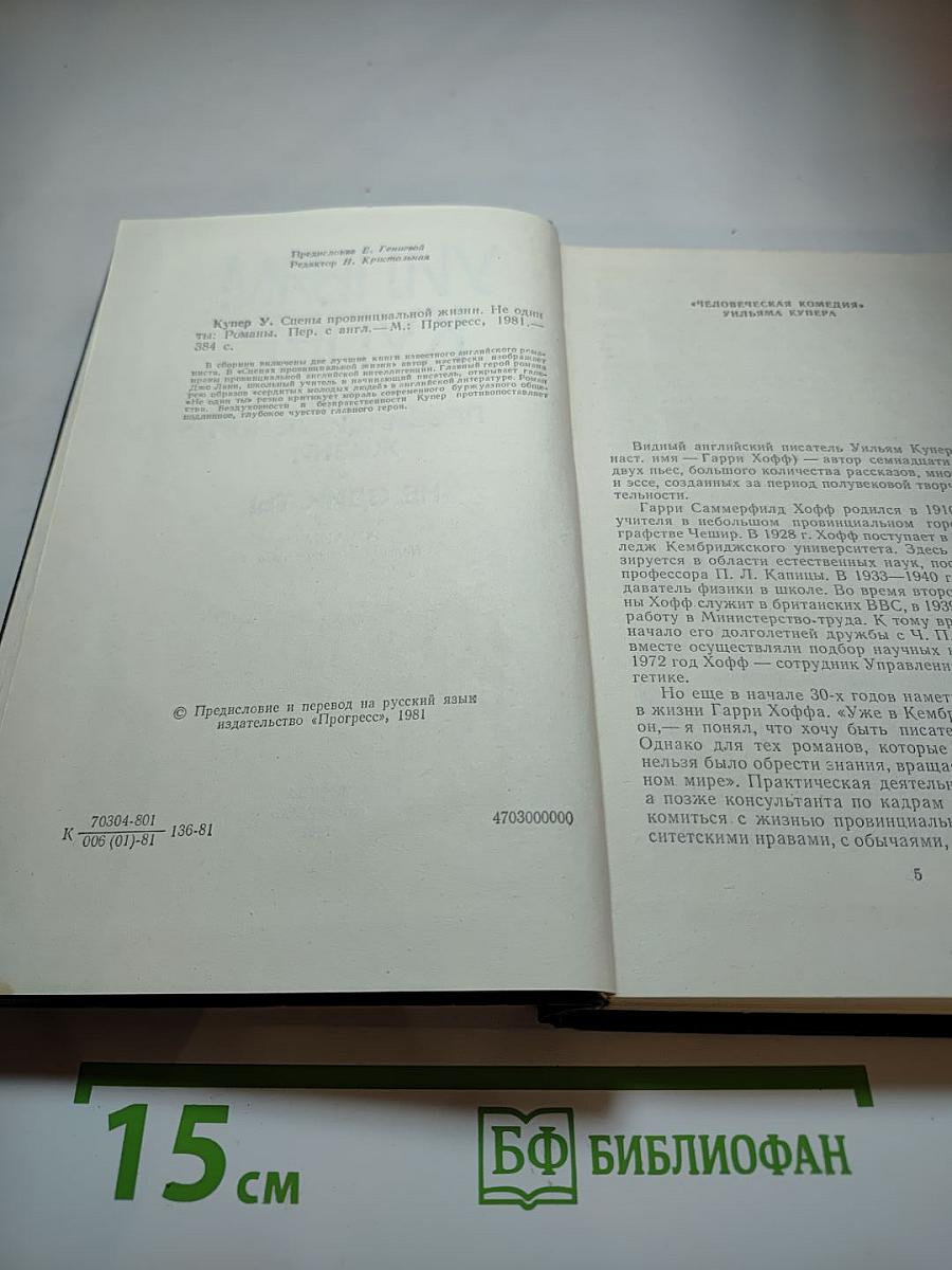 Сцены провинциальной жизни. Не один ты