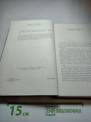 Сцены провинциальной жизни. Не один ты