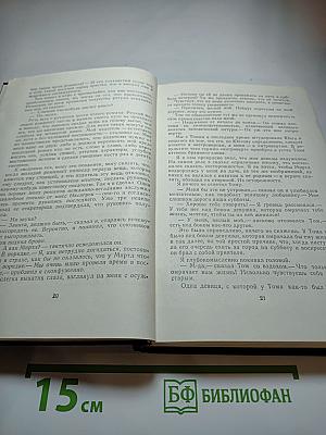 Сцены провинциальной жизни. Не один ты