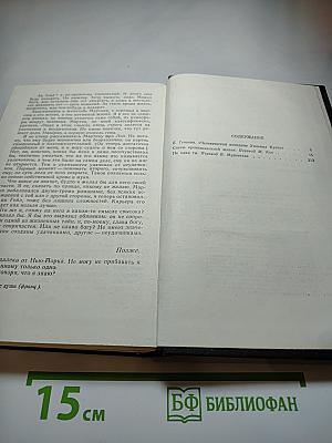 Сцены провинциальной жизни. Не один ты