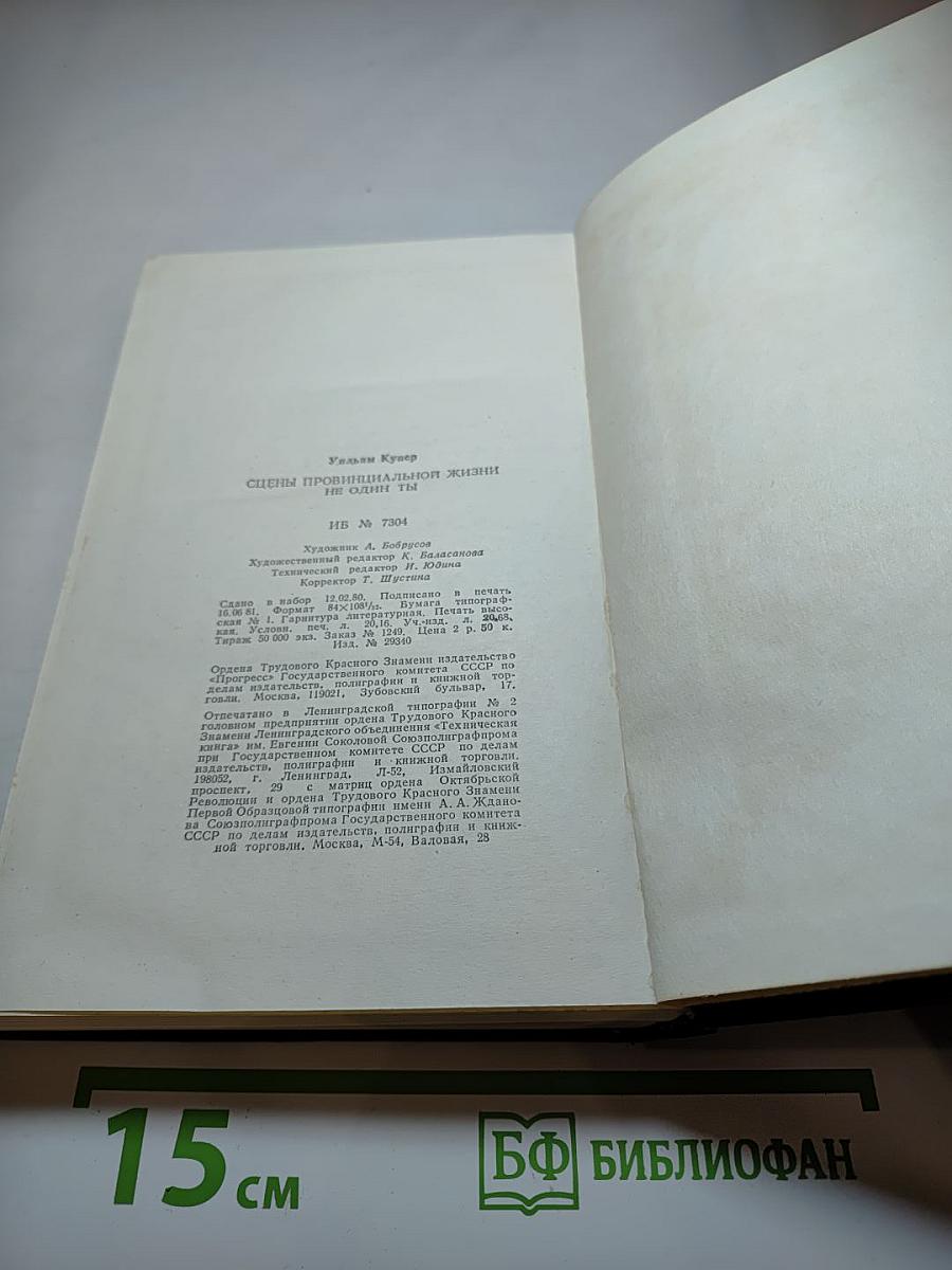Сцены провинциальной жизни. Не один ты
