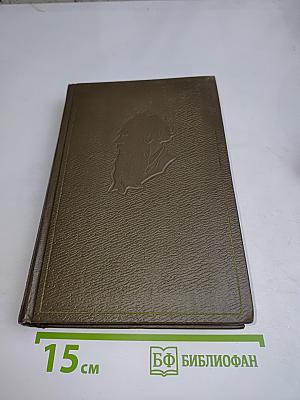Собрание сочинений. Том девятнадцатый. Дневники 1847–1894 гг.