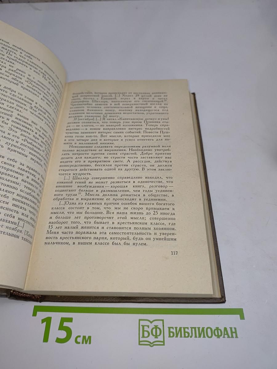 Собрание сочинений. Том девятнадцатый. Дневники 1847–1894 гг.