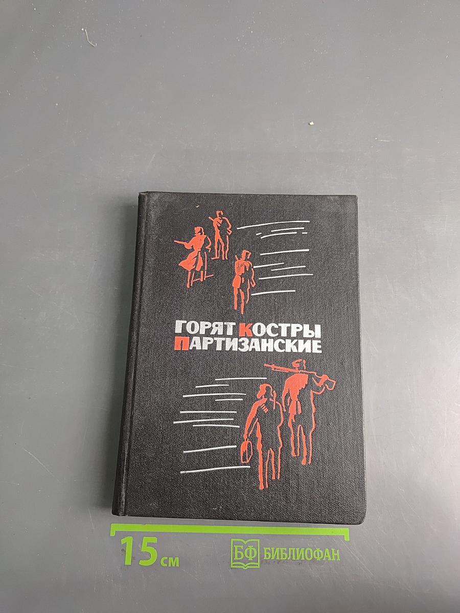 Горят костры партизанские