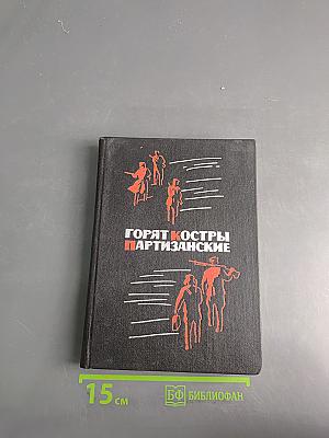 Горят костры партизанские