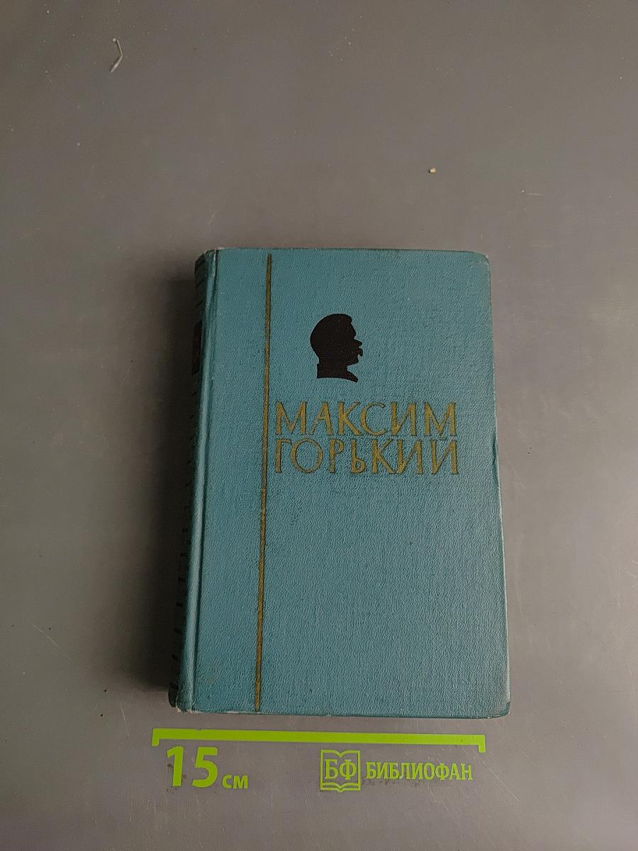 Избранные сочинения в двух томах. Том 2. Мать. Дело Артамоновых