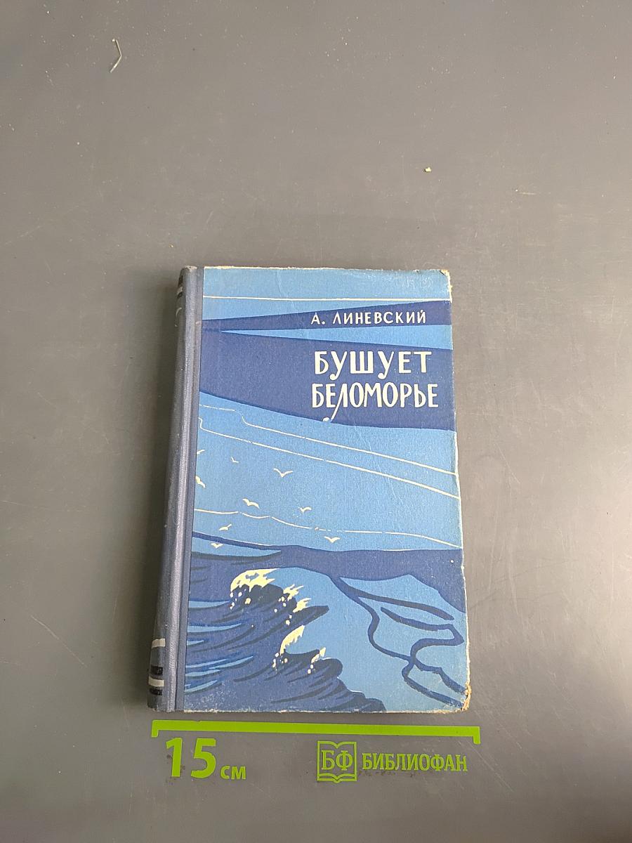 Бушует Беломорье