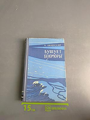 Бушует Беломорье